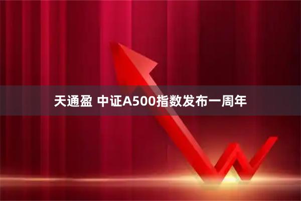 天通盈 中证A500指数发布一周年