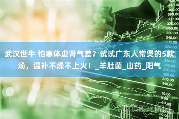武汉世牛 怕寒体虚肾气差？试试广东人常煲的5款汤，温补不燥不上火！_羊肚菌_山药_阳气
