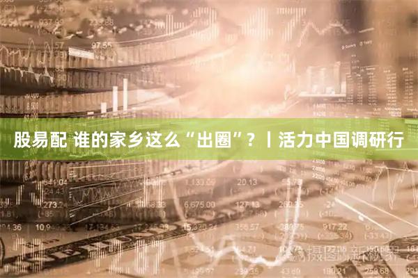 股易配 谁的家乡这么“出圈”? 丨活力中国调研行