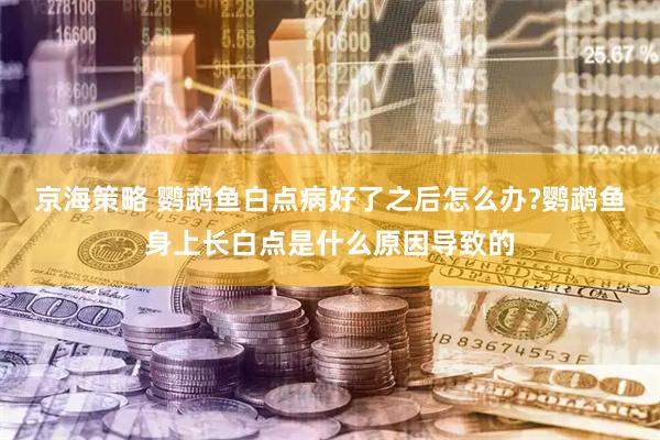 京海策略 鹦鹉鱼白点病好了之后怎么办?鹦鹉鱼身上长白点是什么原因导致的